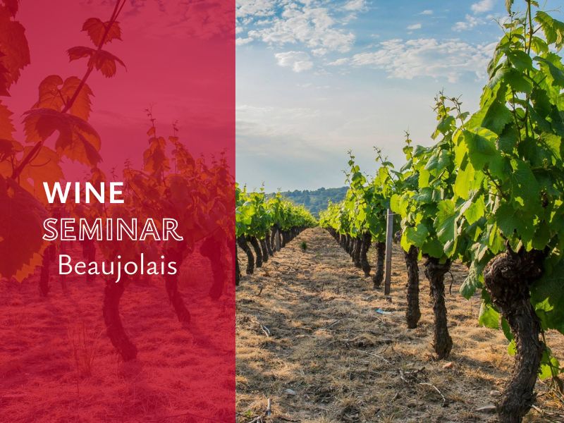 Wine Seminar - Beaujolais