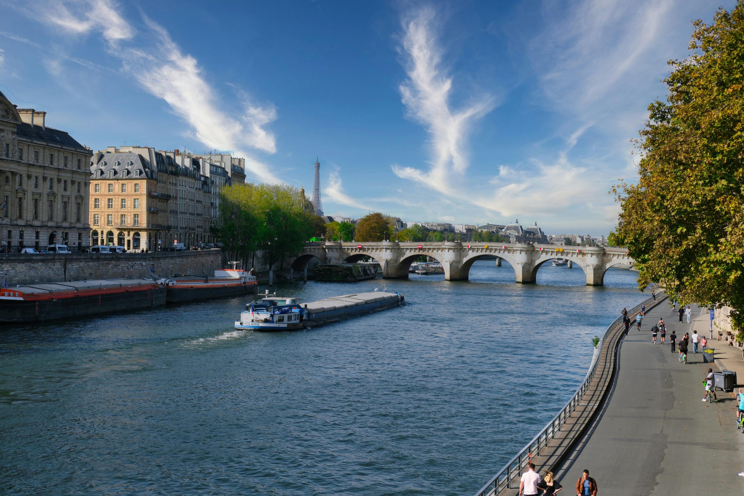 The Spring in Paris - French Library
